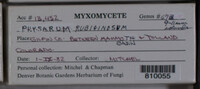 Image Associated With the Occurence